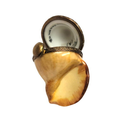 Bullot Shell Porcelain Elegance for Home Decor Porcelain Limoges fish ocean beach French Trinket Box