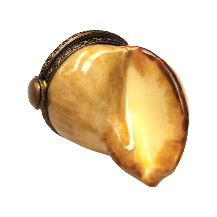 Bullot Shell Porcelain Elegance for Home Decor Porcelain Limoges fish ocean beach French Trinket Box