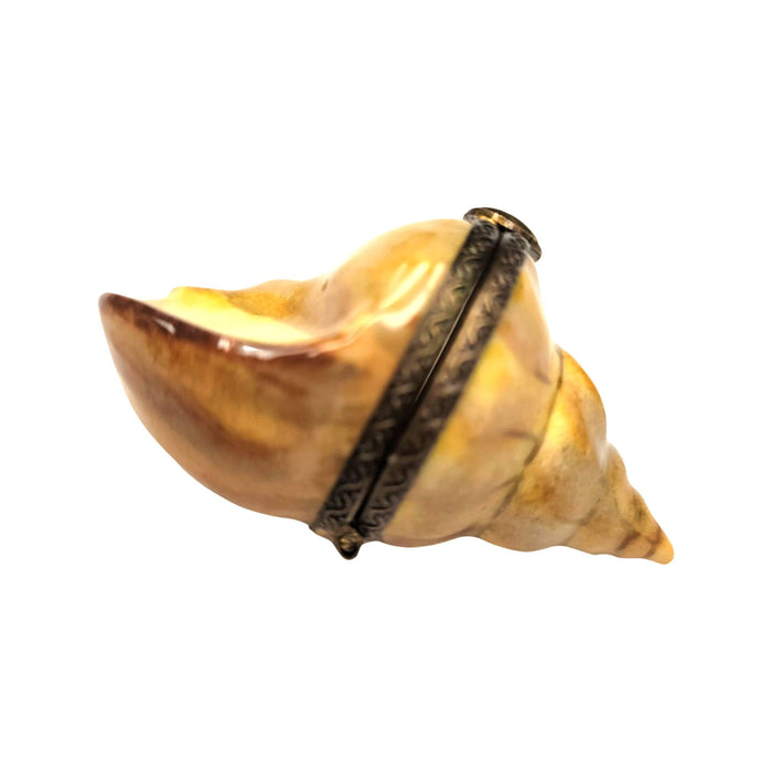 Bullot Shell Porcelain Elegance for Home Decor Porcelain Limoges fish ocean beach French Trinket Box