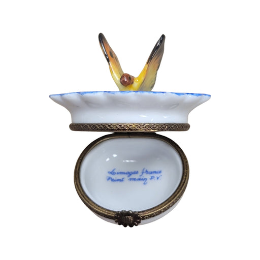 Butterfly Limoges Box for Nature Lovers Porcelain Limoges Butterfly French Trinket Box