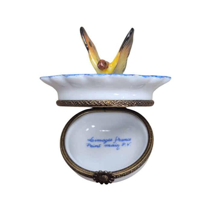 Butterfly Limoges Box for Nature Lovers Porcelain Limoges Butterfly French Trinket Box
