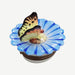 Butterfly Limoges Box for Nature Lovers Porcelain Limoges Butterfly French Trinket Box