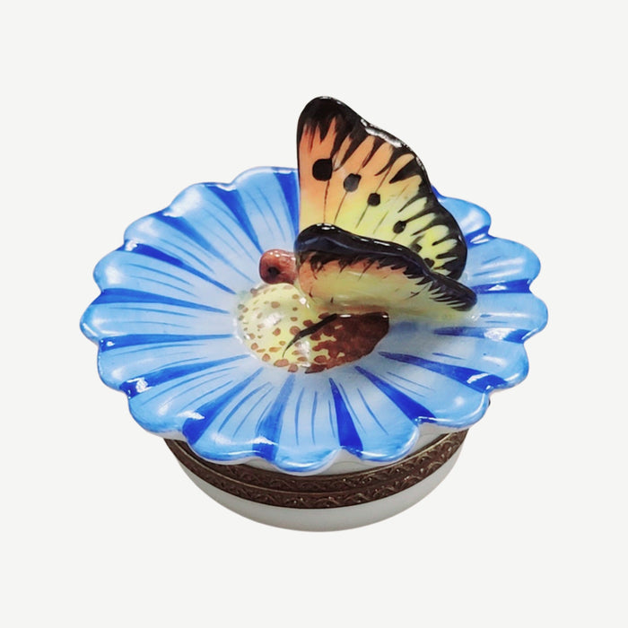 Butterfly Limoges Box for Nature Lovers Porcelain Limoges Butterfly French Trinket Box