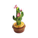 Cactus FLOWERING IN POT-Garden flowers limoges boxes-CH9J169