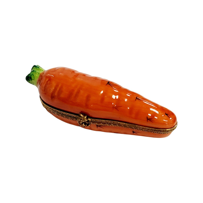 Carrot with Brown Rabbit-fruit vegetable-CH3S135