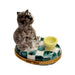 Cat in Teacup Delight Porcelain Limoges Cat French Trinket Box