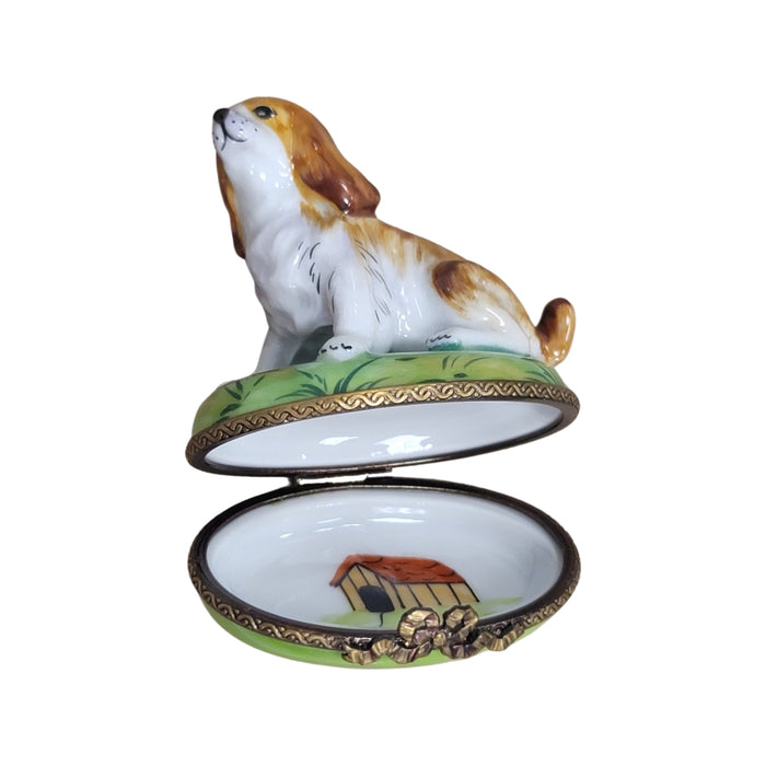 Charming Dog Limoges Box for Animal Lovers Porcelain Limoges dog limoges box French Trinket Box