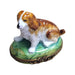 Charming Dog Limoges Box for Animal Lovers Porcelain Limoges dog limoges box French Trinket Box