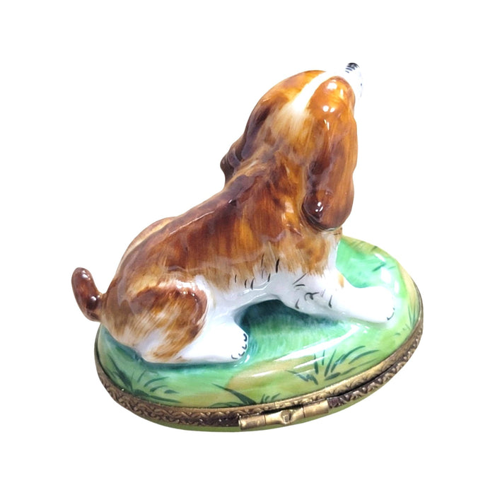 Charming Dog Limoges Box for Animal Lovers Porcelain Limoges dog limoges box French Trinket Box