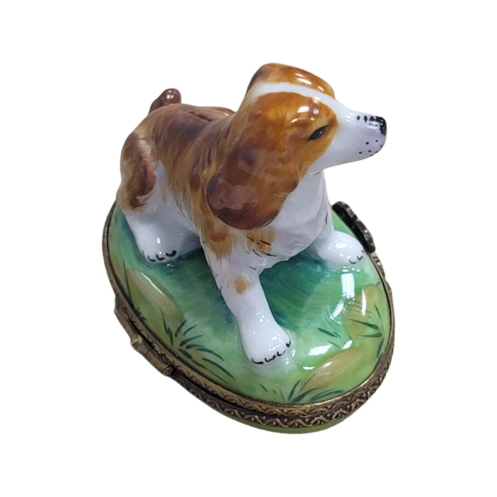 Charming Dog Limoges Box for Animal Lovers Porcelain Limoges dog limoges box French Trinket Box