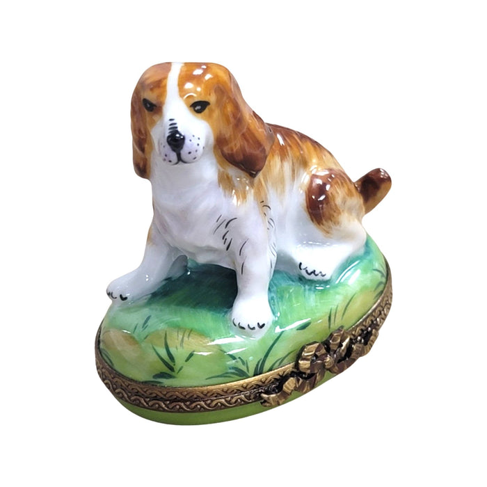 Charming Dog Limoges Box for Animal Lovers Porcelain Limoges dog limoges box French Trinket Box