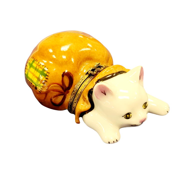 Charming Cat Figurine for Cat Lovers Porcelain Limoges Cat French Trinket Box