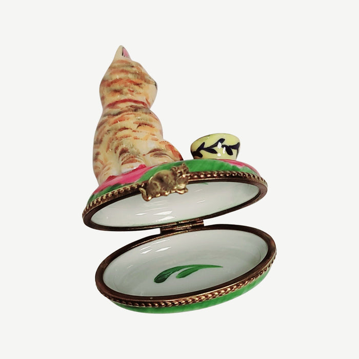 Charming Cat in Teacup Porcelain Limoges Cat china French Trinket Box