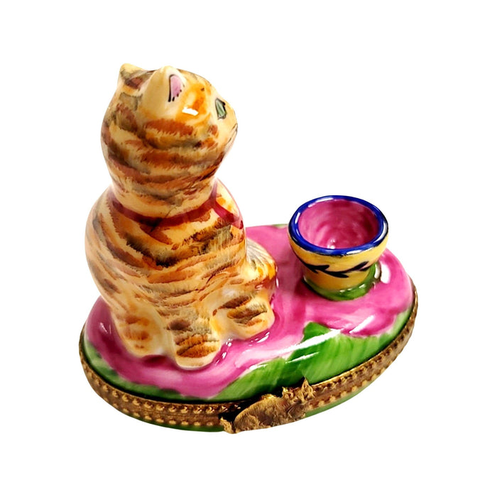 Charming Cat in Teacup Porcelain Limoges Cat china French Trinket Box