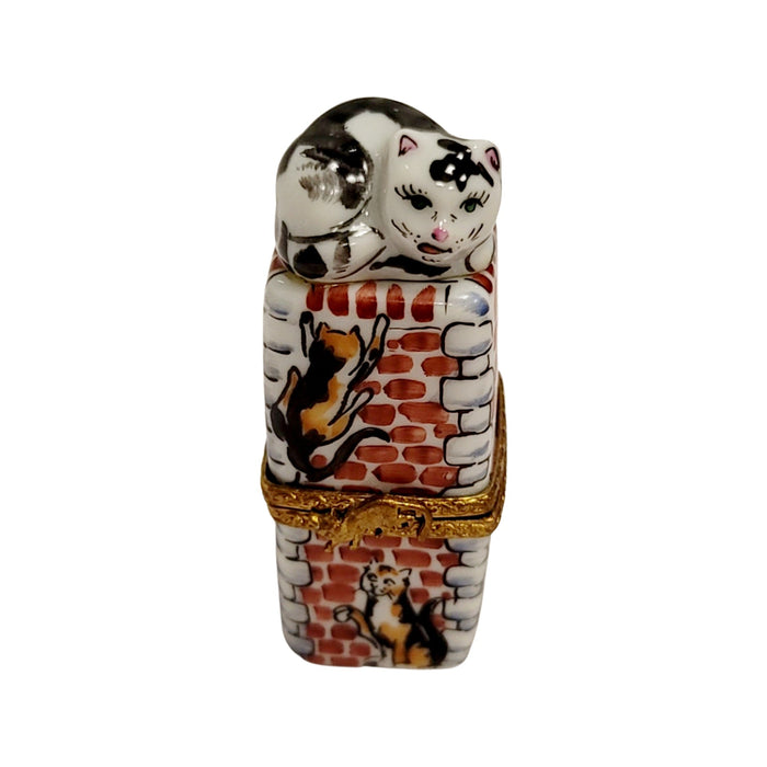 Charming Cat Limoges Box for Cat Lovers Porcelain Limoges Cat French Trinket Box