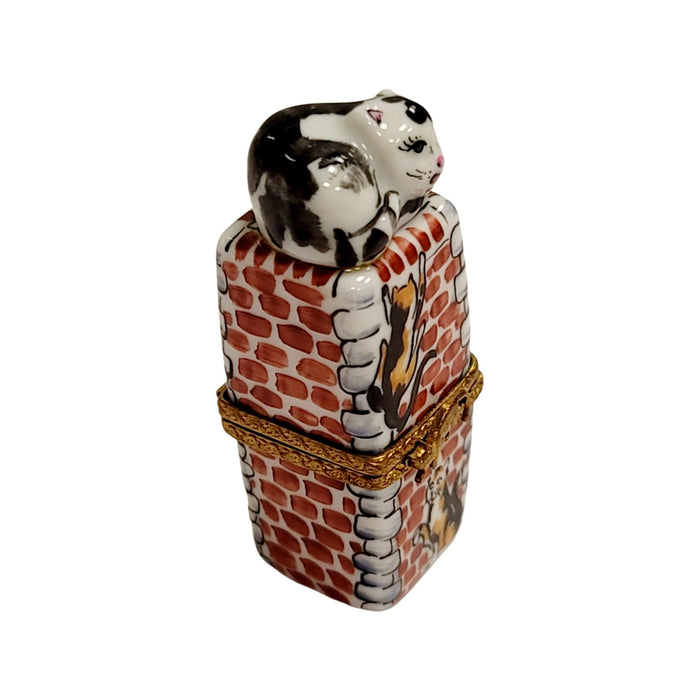 Charming Cat Limoges Box for Cat Lovers Porcelain Limoges Cat French Trinket Box