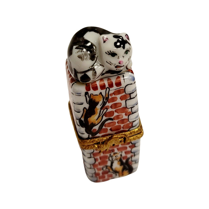 Charming Cat Limoges Box for Cat Lovers Porcelain Limoges Cat French Trinket Box
