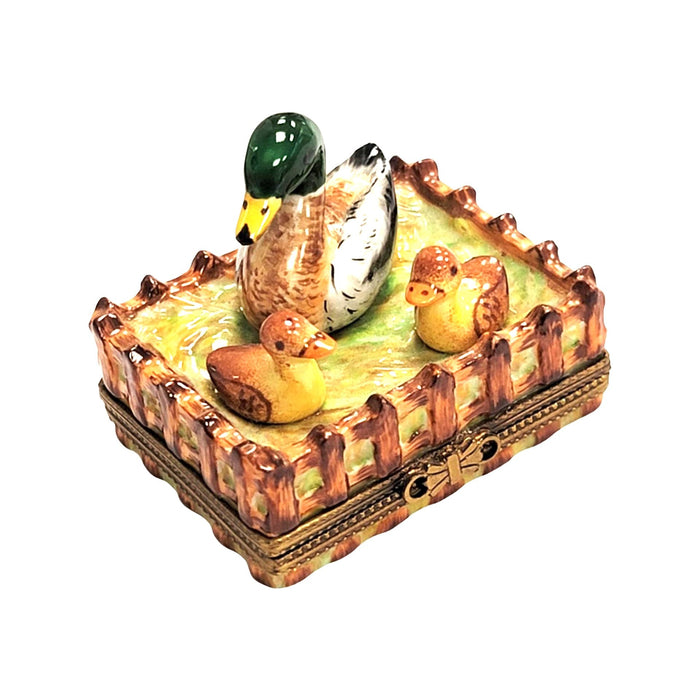 Charming Duck Family Limoges Box for Farmhouse Decor Porcelain Limoges bird limoges boxes farm bird French Trinket Box