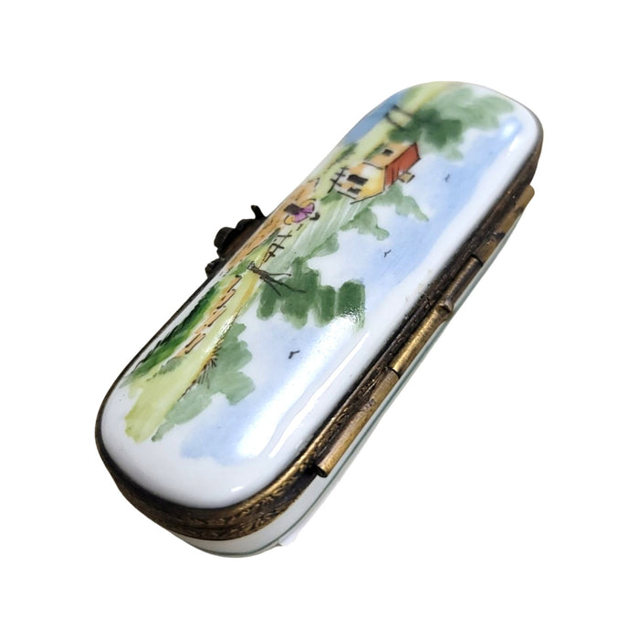 Charming House Scene Limoges Box for Elegant Collectors Porcelain Limoges shaped Home French Trinket Box