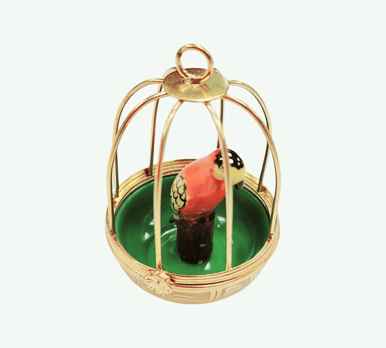 Charming Parrot Limoges Box for Bird Lovers Porcelain Limoges birds LIMOGES BOXES French Trinket Box