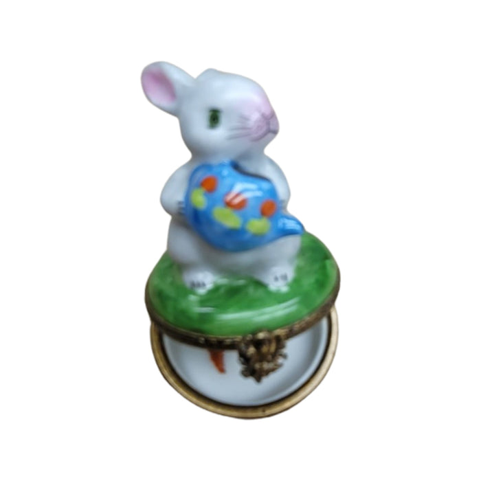 Charming Rabbit Limoges Box for Collectors Porcelain Limoges rabbit French Trinket Box