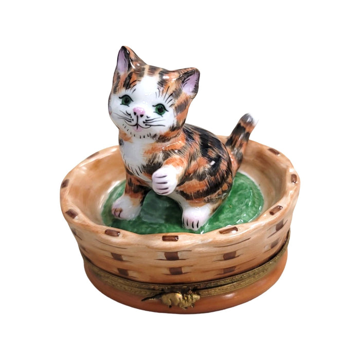 Charming Tabby Cat Figurine for Cat Lovers Porcelain Limoges cat cats limoge box French Trinket Box