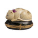 Chinese Cat Limoges Box for Cat Lovers Porcelain Limoges Cat French Trinket Box