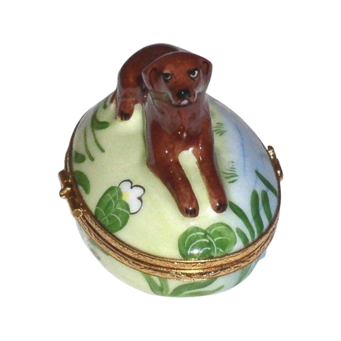 Chocolate Labrador Box for Dog Lovers Porcelain Limoges Dog French Trinket Box
