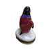 Colorful Tuxedo Penguin Figurine for Elegant Collectors Porcelain Limoges xmas bird birds special winter travel French Trinket Box