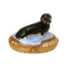 Dachshund Limoges Box for Dog Lovers Porcelain Limoges Dog French Trinket Box