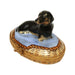 Dachshund Limoges Box for Dog Lovers Porcelain Limoges Dog French Trinket Box