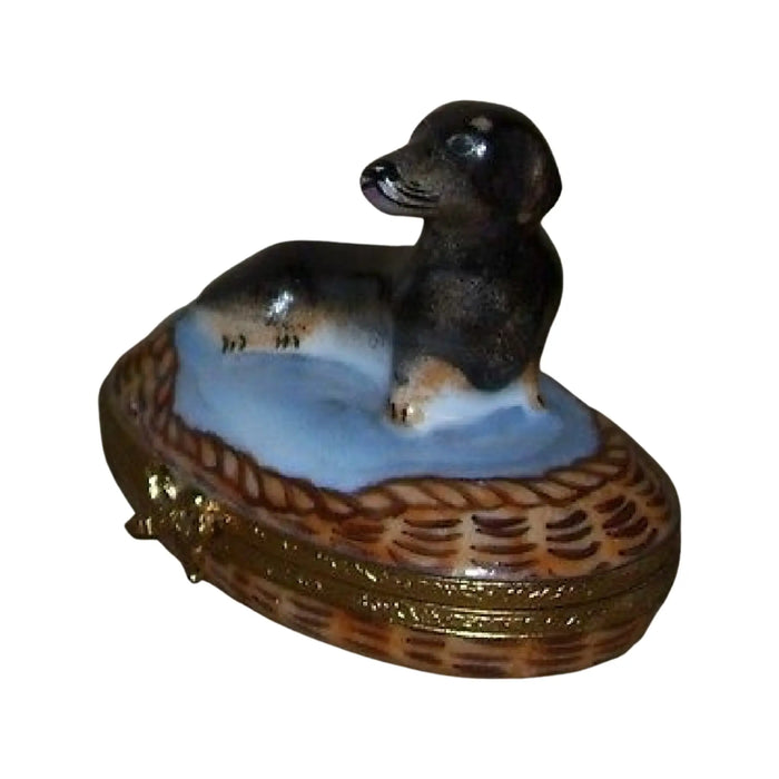 Dachshund Limoges Box for Dog Lovers Porcelain Limoges Dog French Trinket Box
