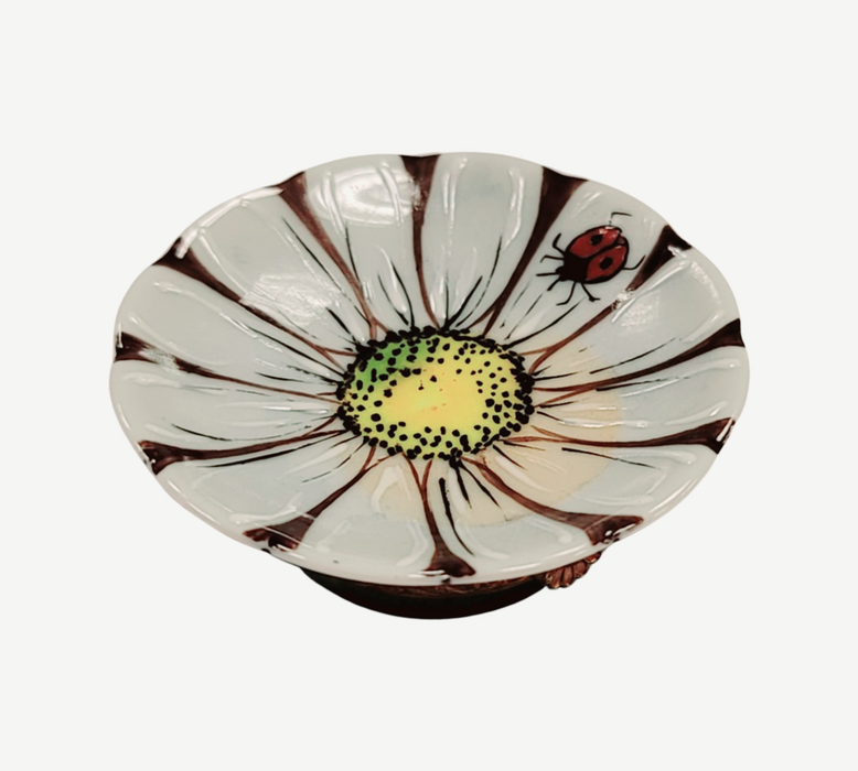 Daisy Flower Limoges Box for Collectors Porcelain Limoges Flowers French Trinket Box