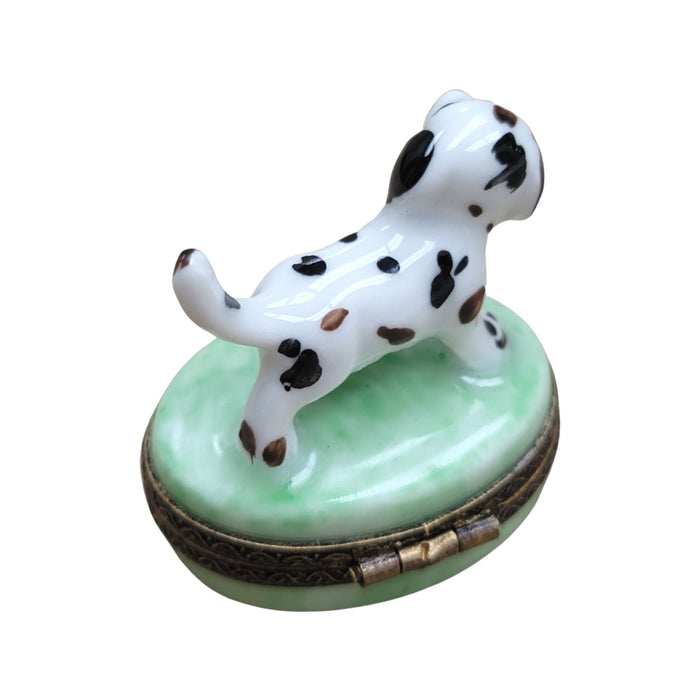 Dalmatian Dog Limoges Box for Dog Lovers Porcelain Limoges dog LIMOGES BOXES French Trinket Box