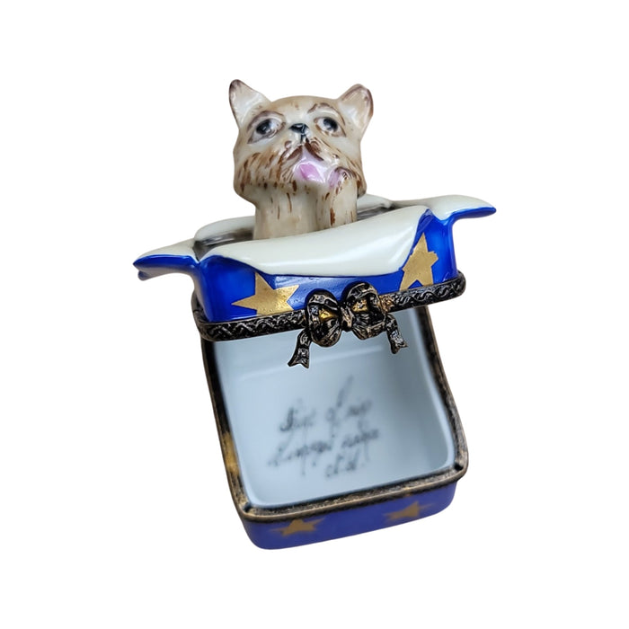 Dog Gift Delight for Pet Lovers Porcelain Limoges dog dogs limoge box French Trinket Box