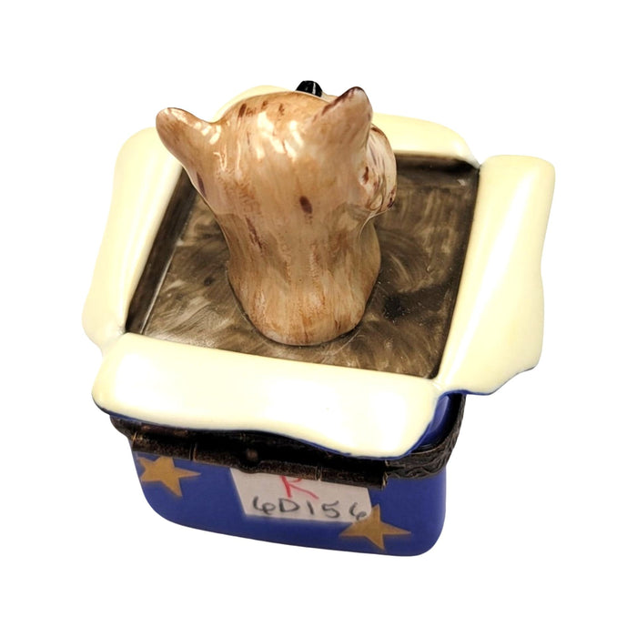 Dog Gift Delight for Pet Lovers Porcelain Limoges dog dogs limoge box French Trinket Box