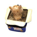 Dog Gift Delight for Pet Lovers Porcelain Limoges dog dogs limoge box French Trinket Box