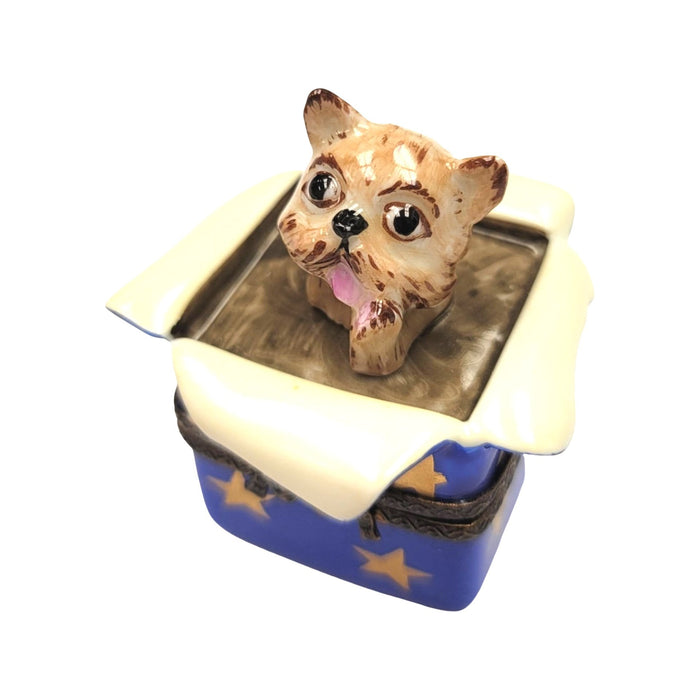 Dog Gift Delight for Pet Lovers Porcelain Limoges dog dogs limoge box French Trinket Box