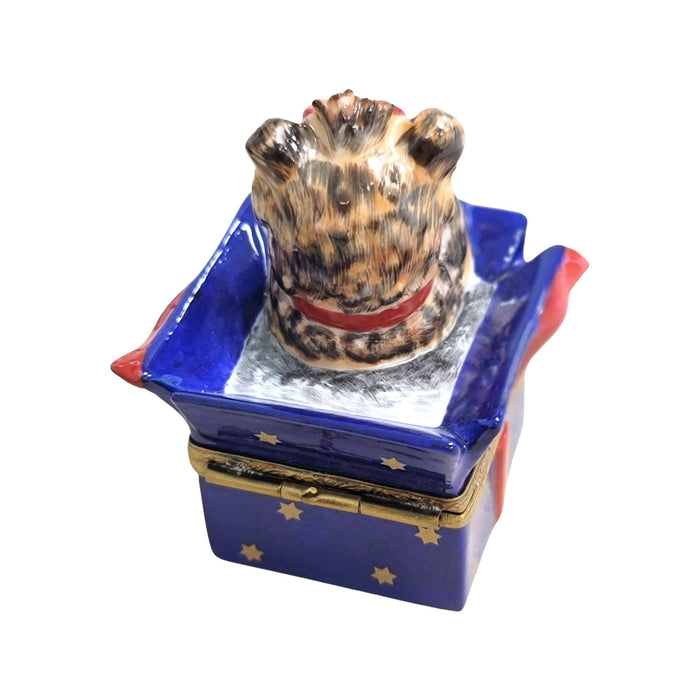 Dog in Blue Gift Box for Dog Lovers Porcelain Limoges dog limoges xmas French Trinket Box