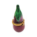 Eggplant-fruit vegetables-CH6D185