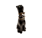 Elegant Black Panther Figurine for Nature Lovers Porcelain Limoges cat wild French Trinket Box