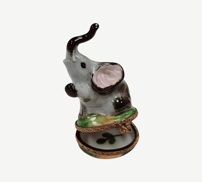 Elegant Limoges Elephant for Animal Lovers Porcelain Limoges wild animals limoges boxes French Trinket Box