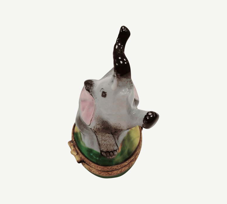 Elegant Limoges Elephant for Animal Lovers Porcelain Limoges wild animals limoges boxes French Trinket Box