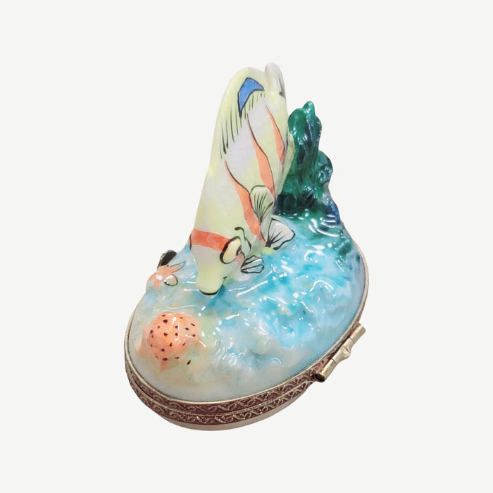 Exotic Fish Limoges Box Porcelain Figurine-fish ocean beach LIMOGES BOXES-CH2P347