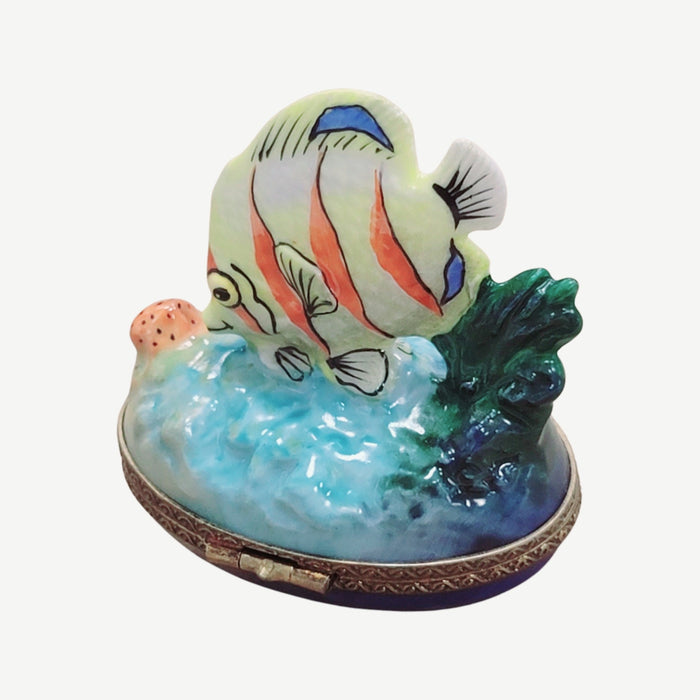 Exquisite Fish Figurine for Collectors Porcelain Limoges fish ocean beach French Trinket Box