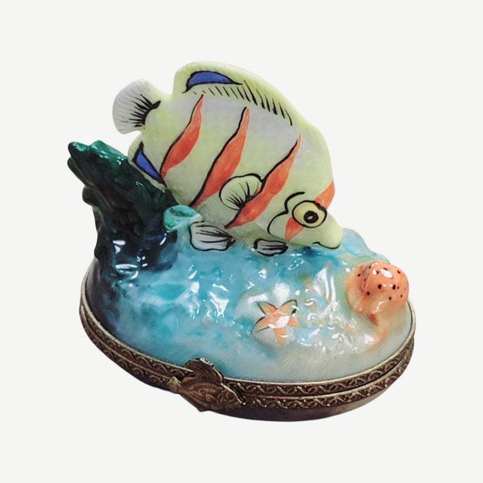 Exquisite Fish Figurine for Collectors Porcelain Limoges fish ocean beach French Trinket Box