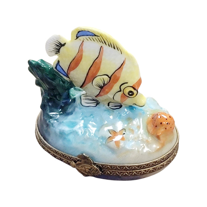 Exquisite Fish Figurine for Collectors Porcelain Limoges fish ocean beach French Trinket Box