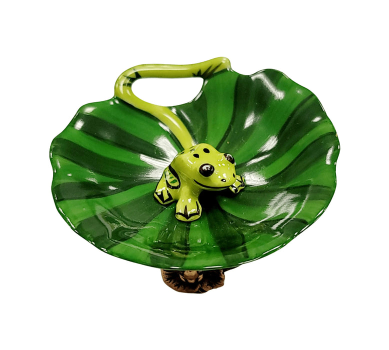 Frog Figurine for Nature Lovers Porcelain Limoges frog LIMOGES BOXES turtle French Trinket Box