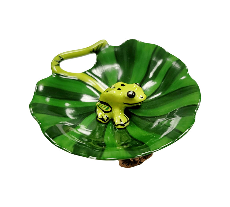 Frog Figurine for Nature Lovers Porcelain Limoges frog LIMOGES BOXES turtle French Trinket Box