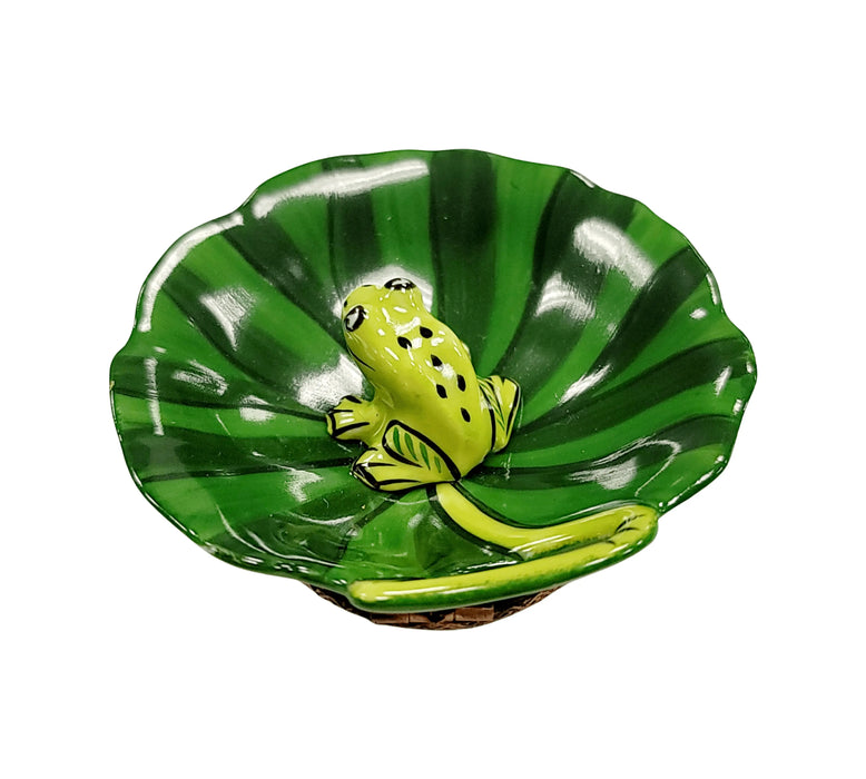 Frog Figurine for Nature Lovers Porcelain Limoges frog LIMOGES BOXES turtle French Trinket Box